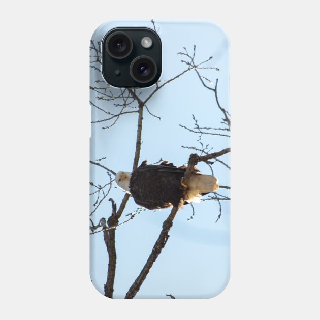 Bald Eagle Phone Case by Drgnfly4free