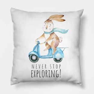 never stop exploring Pillow