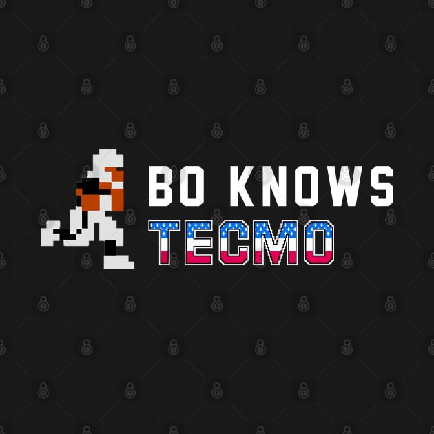 Bo Knows Tecmo by BodinStreet