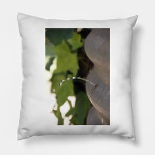 Leaking -  Adelaide Hills - Fleurieu Peninsula by South Australian artist Avril Thomas Pillow