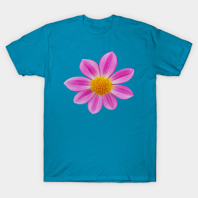 Pink Single Dahlia Flower - Pink - T-Shirt