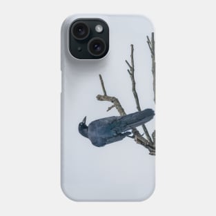 Great Tailed Grackle Perched Phone Case