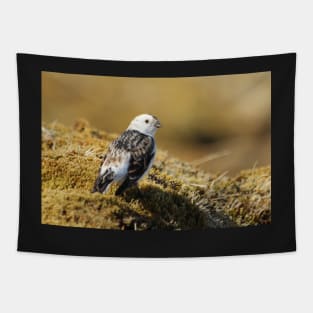 Snow bunting Tapestry