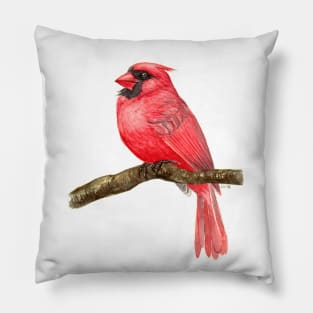 Cardinal bird watercolor Pillow