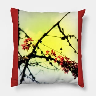 red Malus Radiant crab apple blossoms #7, yellow tint Pillow