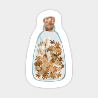 Anise stars in a glass bottle Magnet