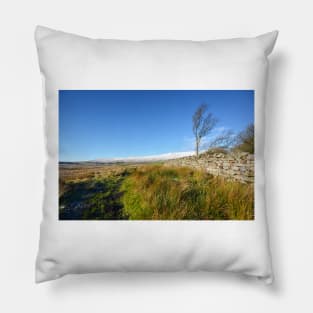 Whernside Tree Pillow