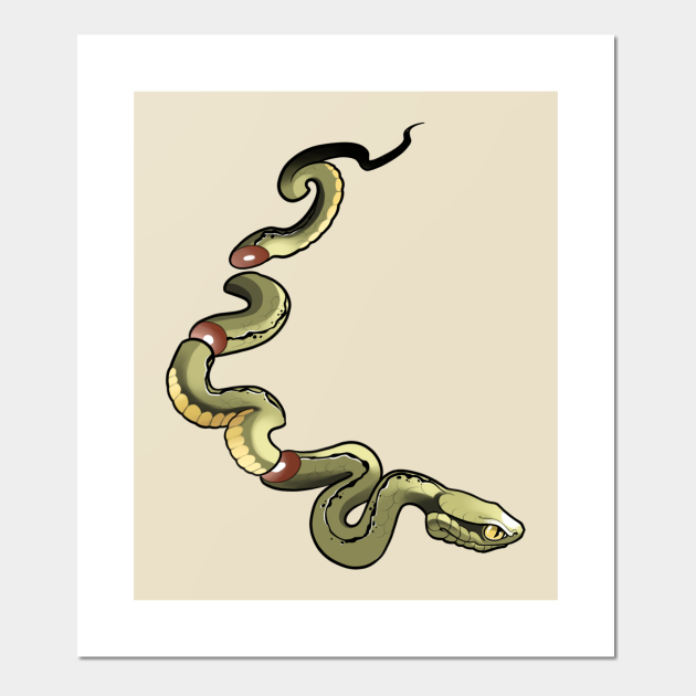 Sushi snake - Snake - Posters and Art Prints | TeePublic Sushi snake - Snake - Posters and Art Prints | TeePublic