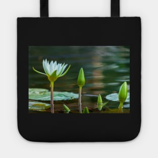Generations Tote