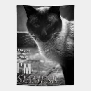 Alpha Male Siamese Cat Portrait Tapestry