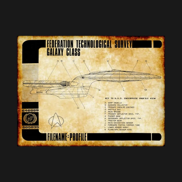 Federation Technological Survey Star Ship Profile by Starbase79