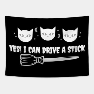 Yes! I Can Drive  A Stick Tapestry