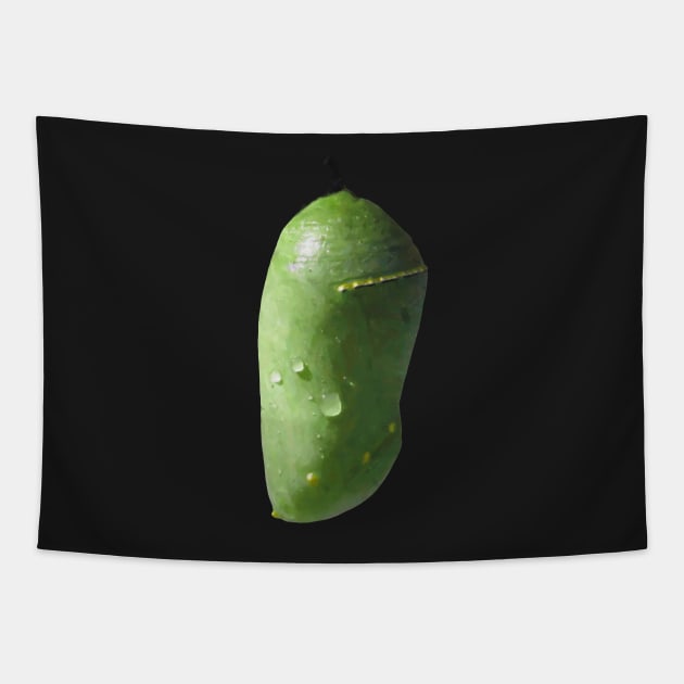 Monarch Chrysalis Tapestry by Griffelkinn