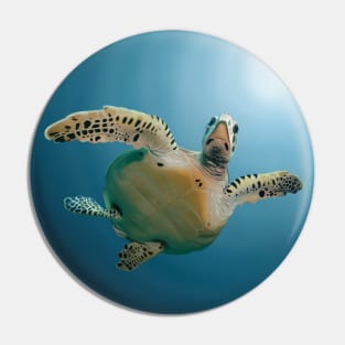 Turtle Digital Painting Pin