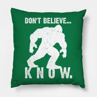 Don't Believe... Know. Pillow