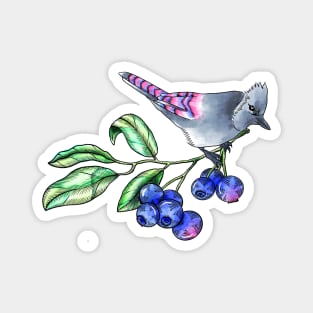 Watercolor blue jay with berries Magnet