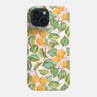 Honey apricots on a sunny day Phone Case