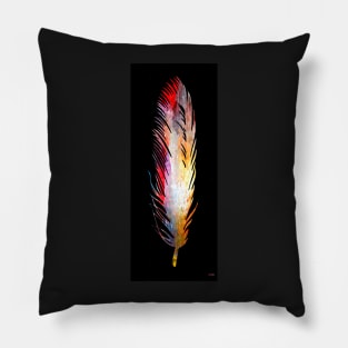 Colorful Feather Pillow
