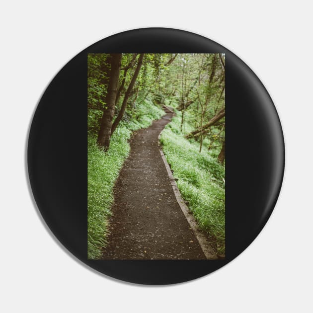 Dirt Path Pin by Errne