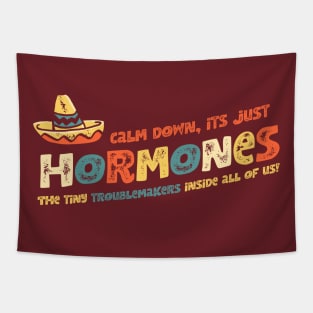 Hormones Tapestry