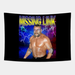 MISSING LINK Tapestry