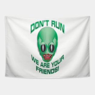 Don't Run, We Are Your Friends! Tapestry