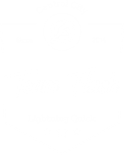 Team Flash - Lightning Quick Magnet