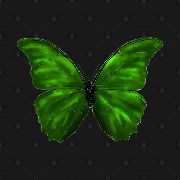 Green butterfly by Erena Samohai