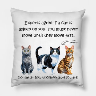 Experts agree if a cat is asleep on you, you must never move until they move first - funny watercolour cat design Pillow