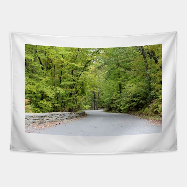 Winding Road Tapestry by Cynthia48