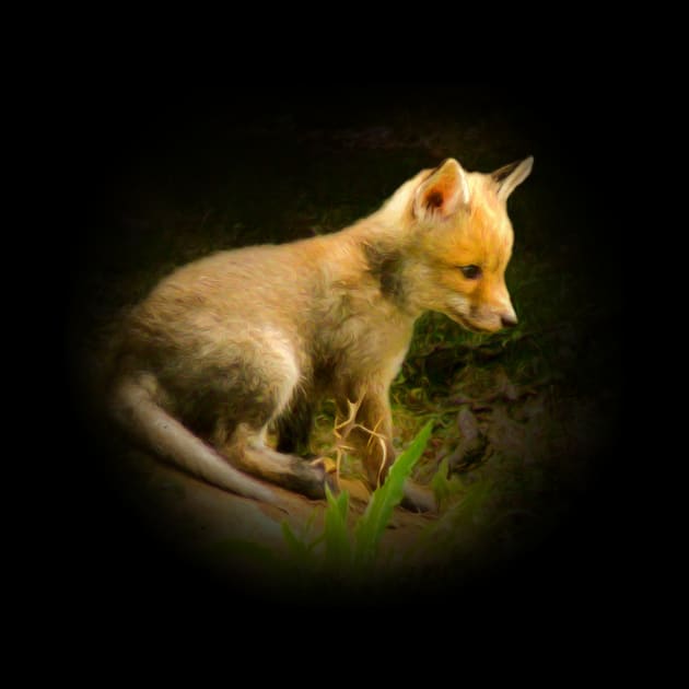 Red fox cub by Guardi