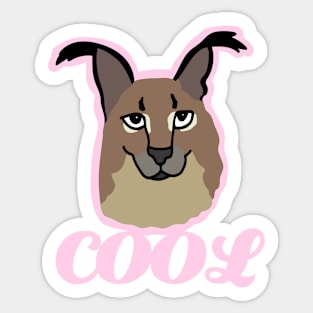 CHAD FLOPPA CAT \ CARACALS \  Sticker for Sale by Mad-Boy