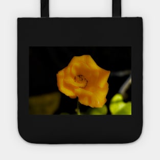 Yellow rose blossom Tote