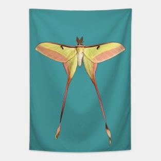 Chinese Moon Moth Male Tapestry