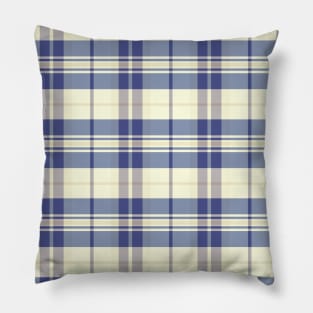 Sunset and Sunrise Aesthetic Arable 2 Hand Drawn Textured Plaid Pattern Pillow