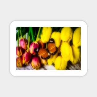 Tulips And Orange Butterfly Magnet