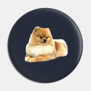 Pomeranian Puppy Dog Pin