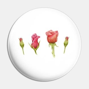 roses_set Pin