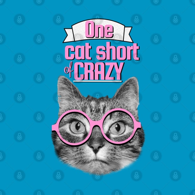 One cat short of crazy by Purrfect