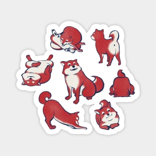 Shiba Inu/Shiba Dog (柴犬) Magnet