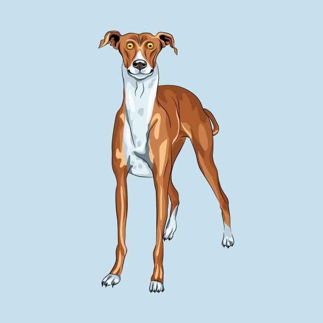 dog breed Greyhound by kavalenkava