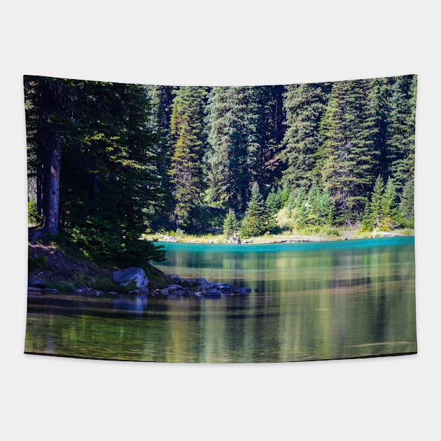 Mountain Water. Tapestry by CanadianWild418