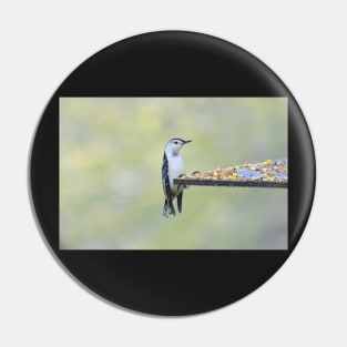 Nuthatch Pin