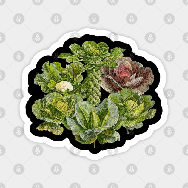Brassicas! Magnet by MichaelaGrove