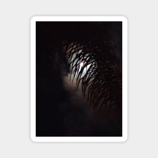 Moon Frond Magnet