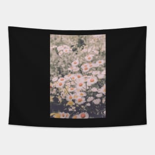 Wild Summer Daisies Tapestry