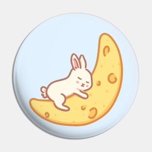 Bunny sleeping on a moon Pin