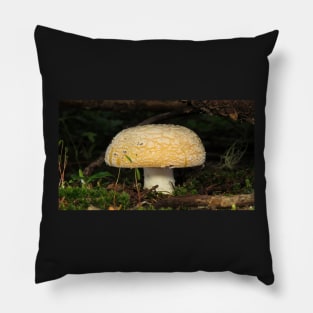 June Amanita Pillow