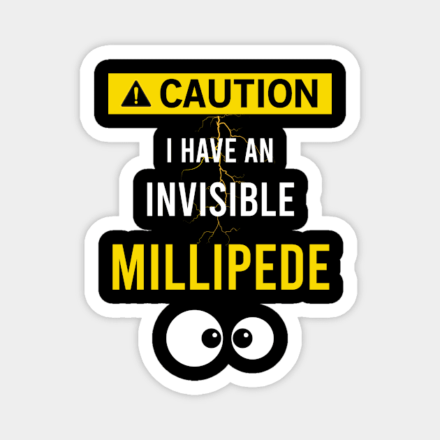 Invisible Millipede Magnet by flaskoverhand