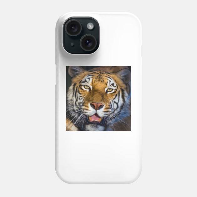 318 cinnamon tiger Phone Case by pcfyi